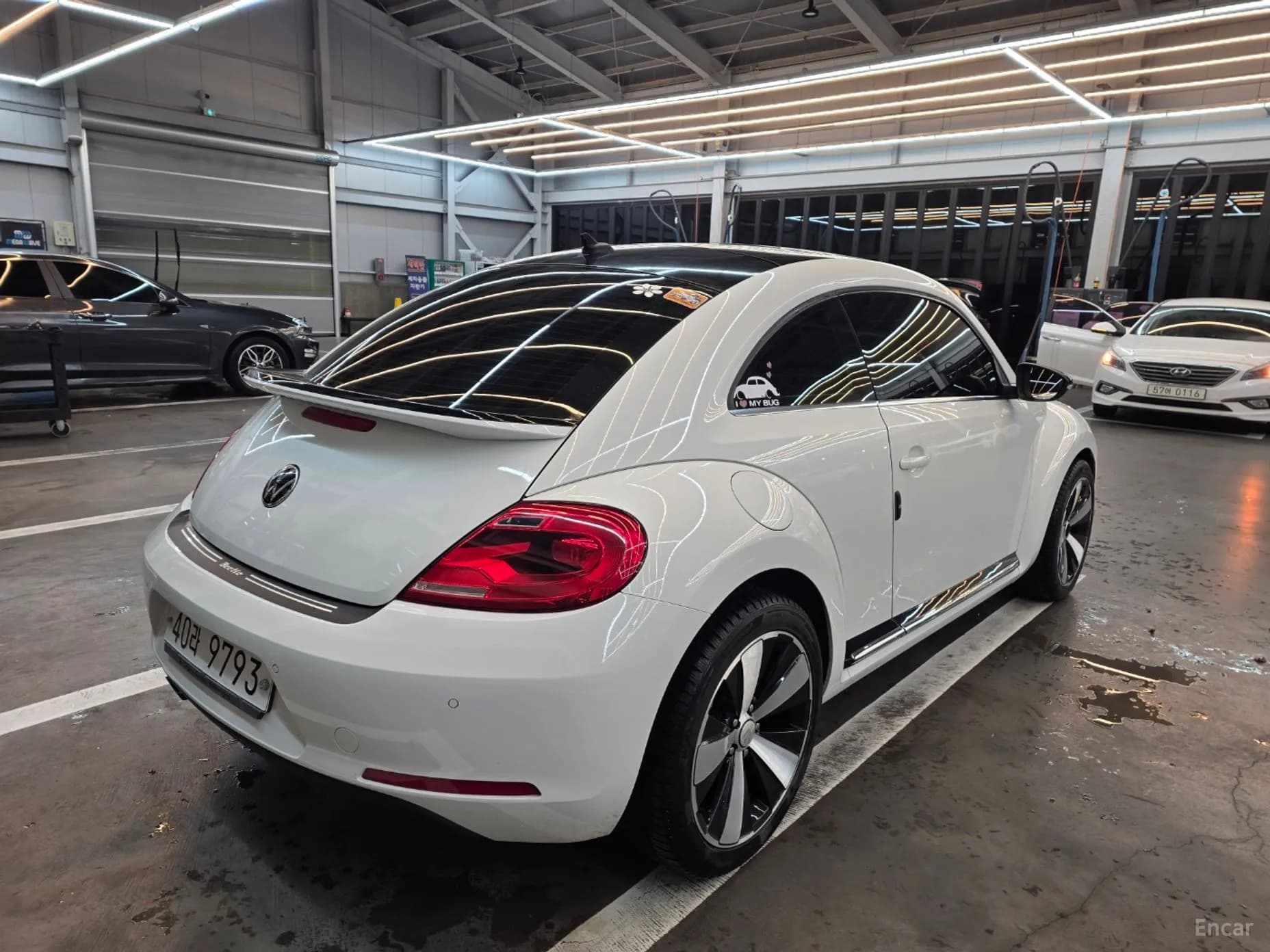 The Beetle