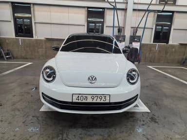 The Beetle