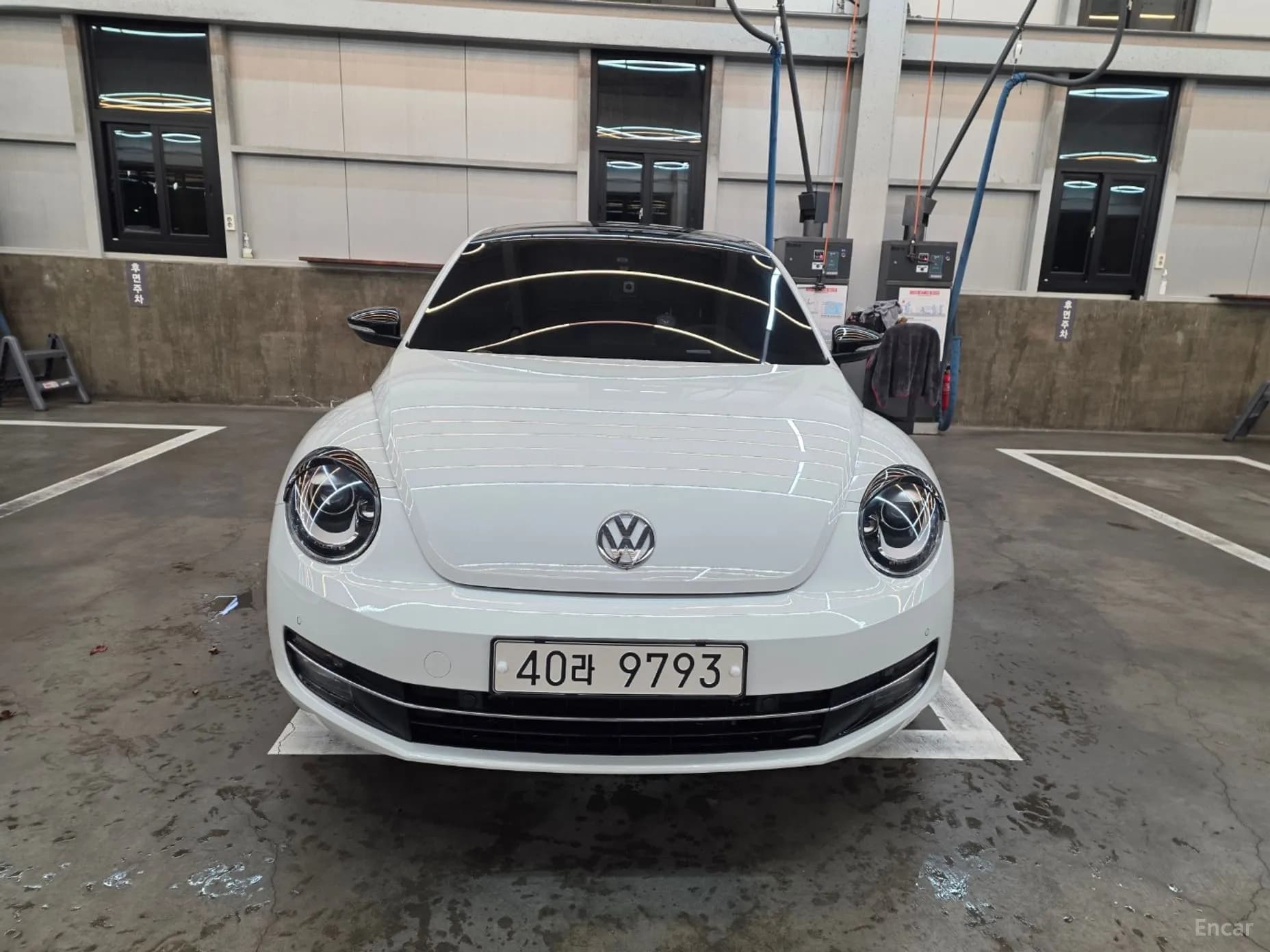 The Beetle
