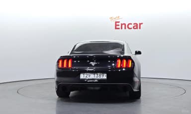 Mustang