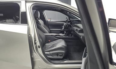UX250h