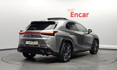 UX250h
