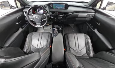 UX250h