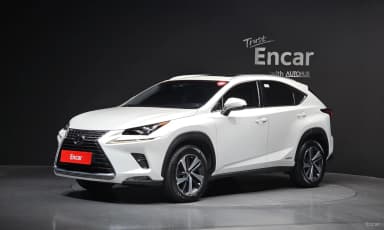 NX300h