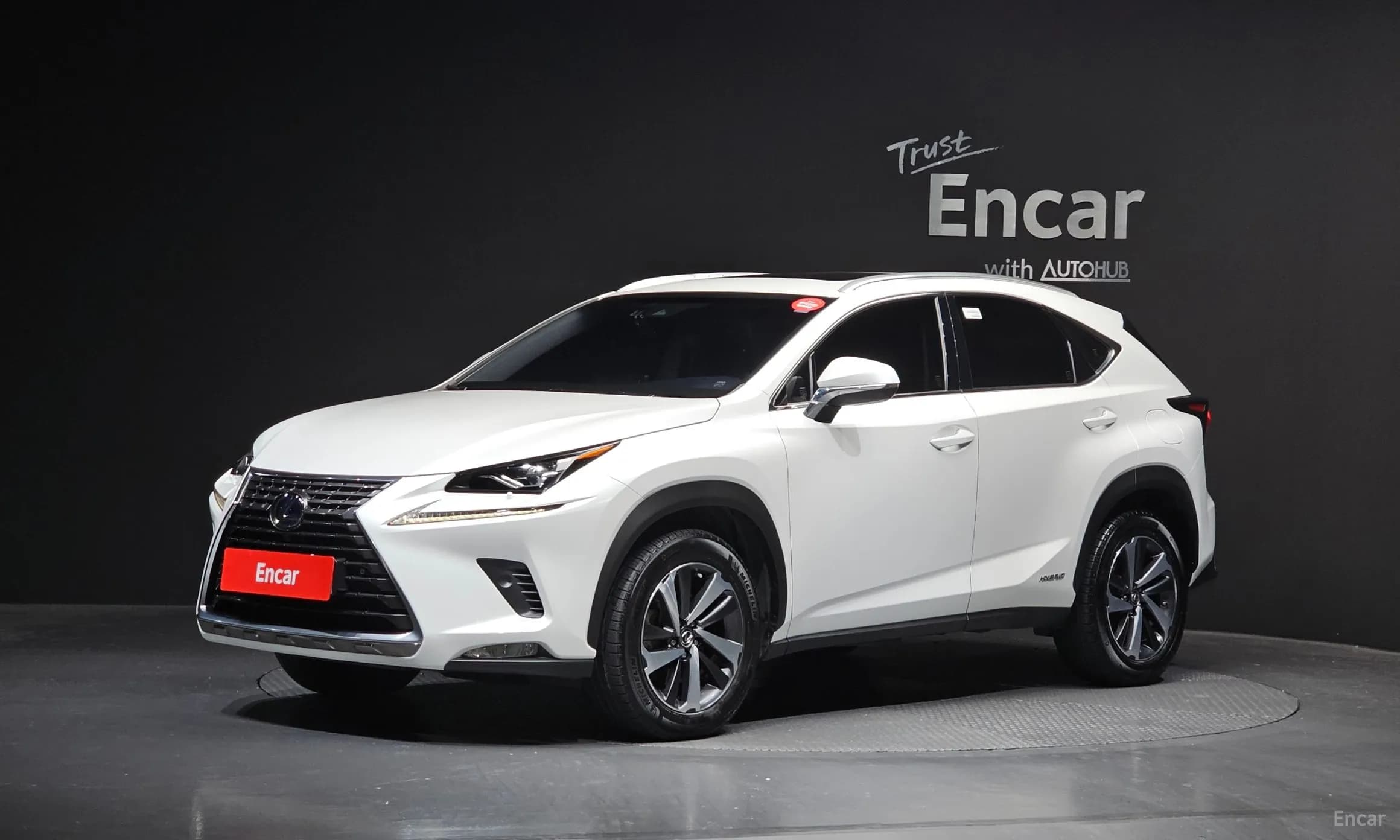 NX300h