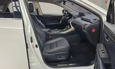 NX300h