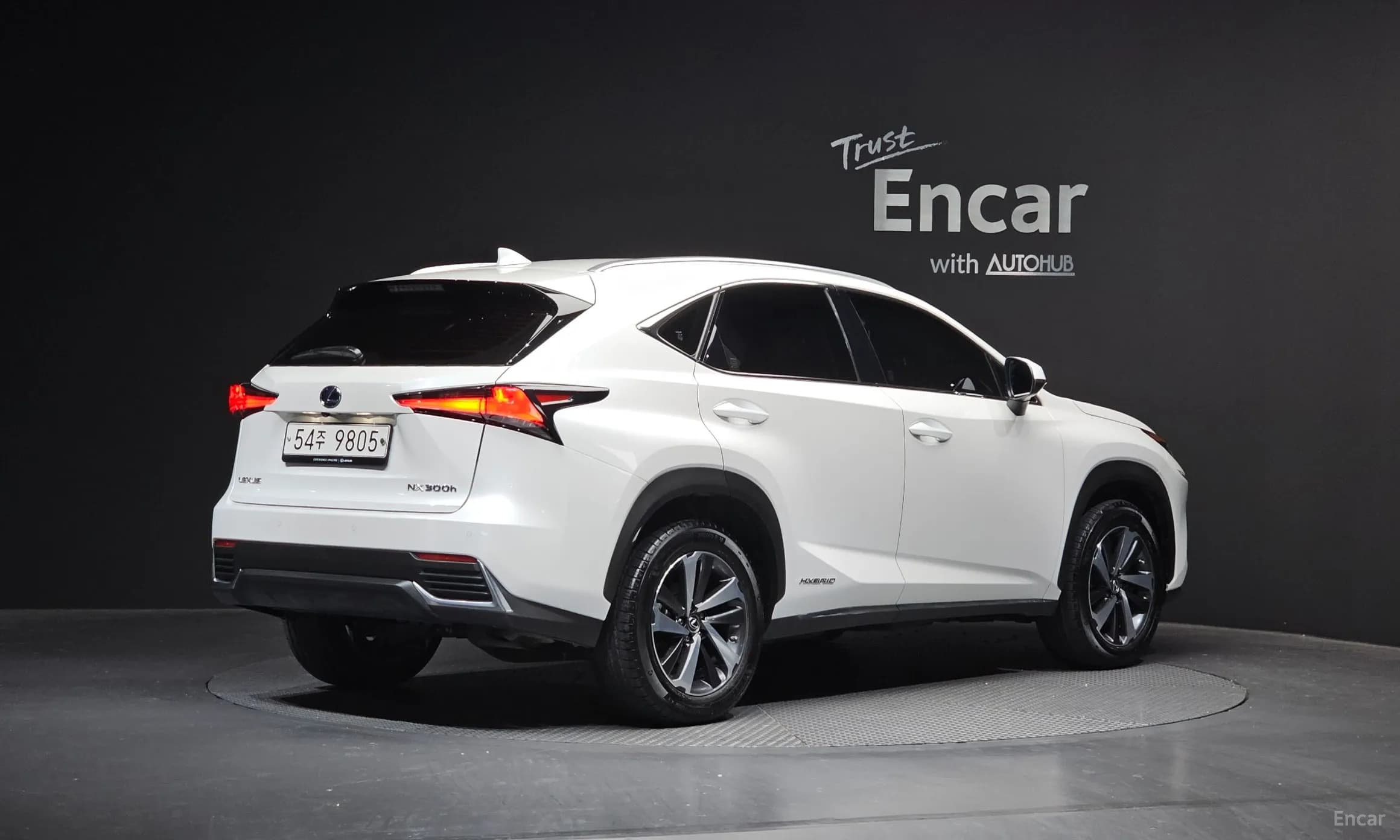 NX300h