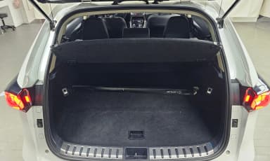 NX300h