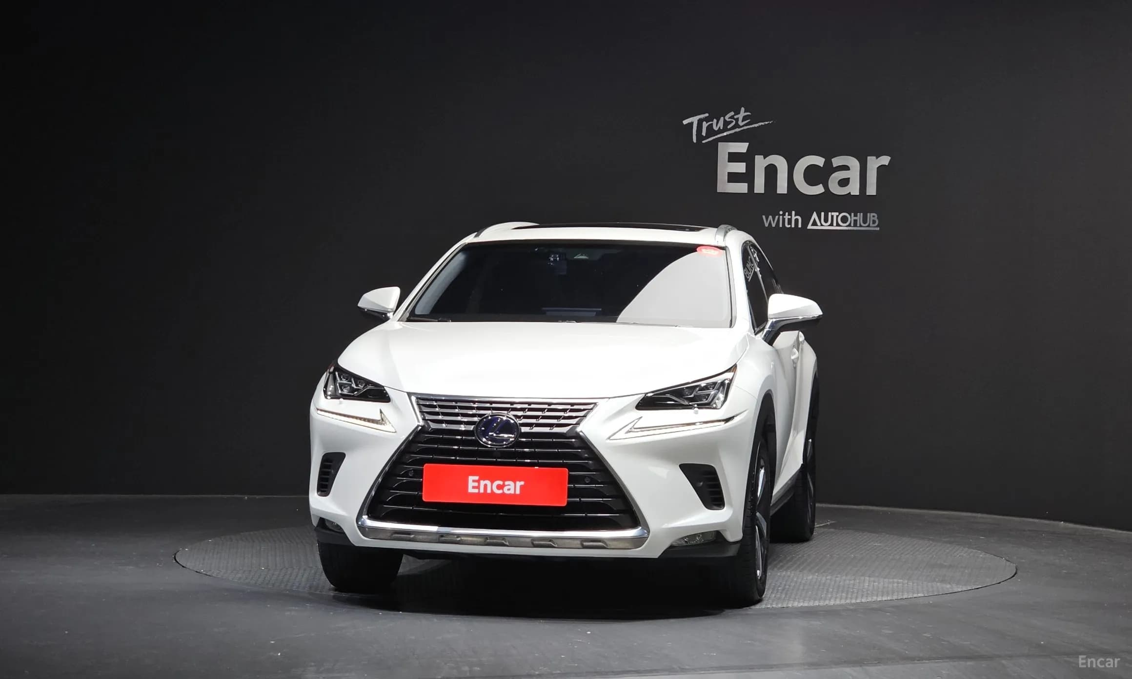 NX300h