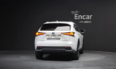 NX300h