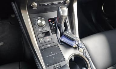 NX300h