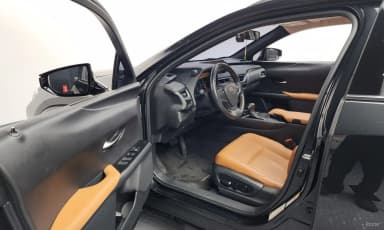 UX250h