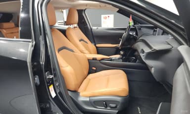 UX250h