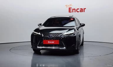 UX250h