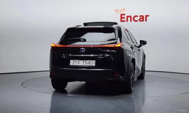 UX250h