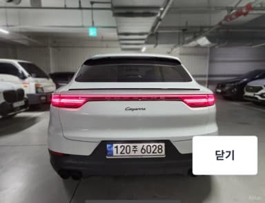 Cayenne (PO536)