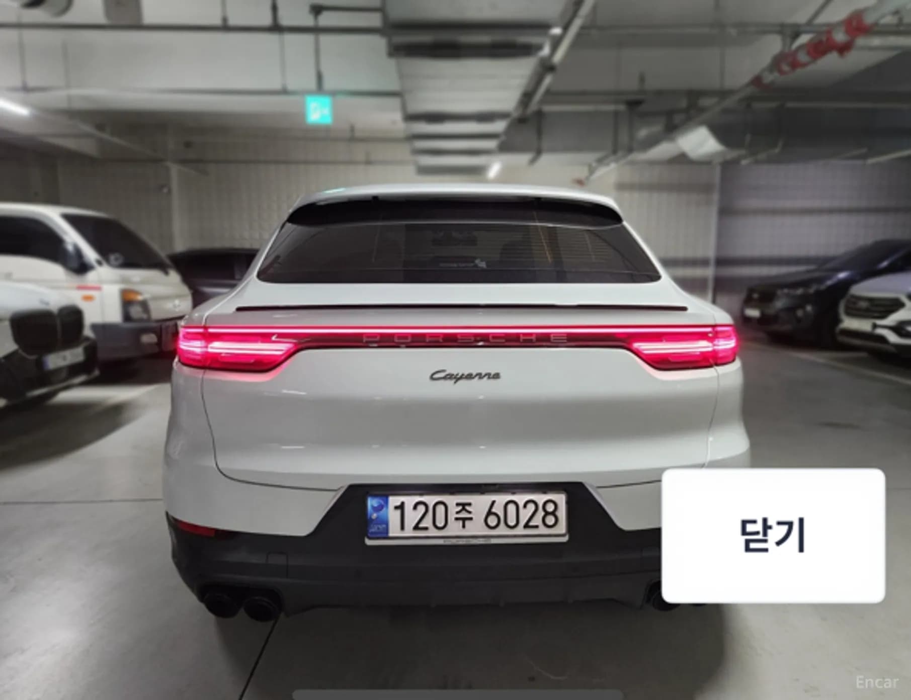 Cayenne (PO536)
