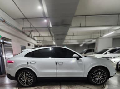 Cayenne (PO536)