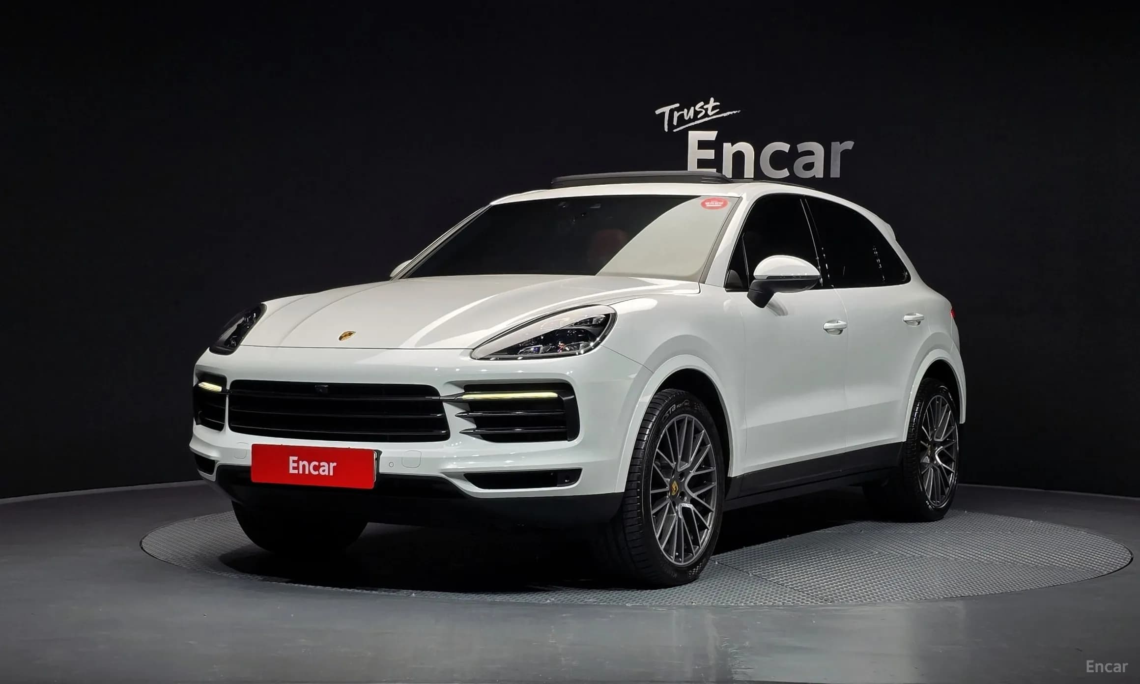 Cayenne (PO536)
