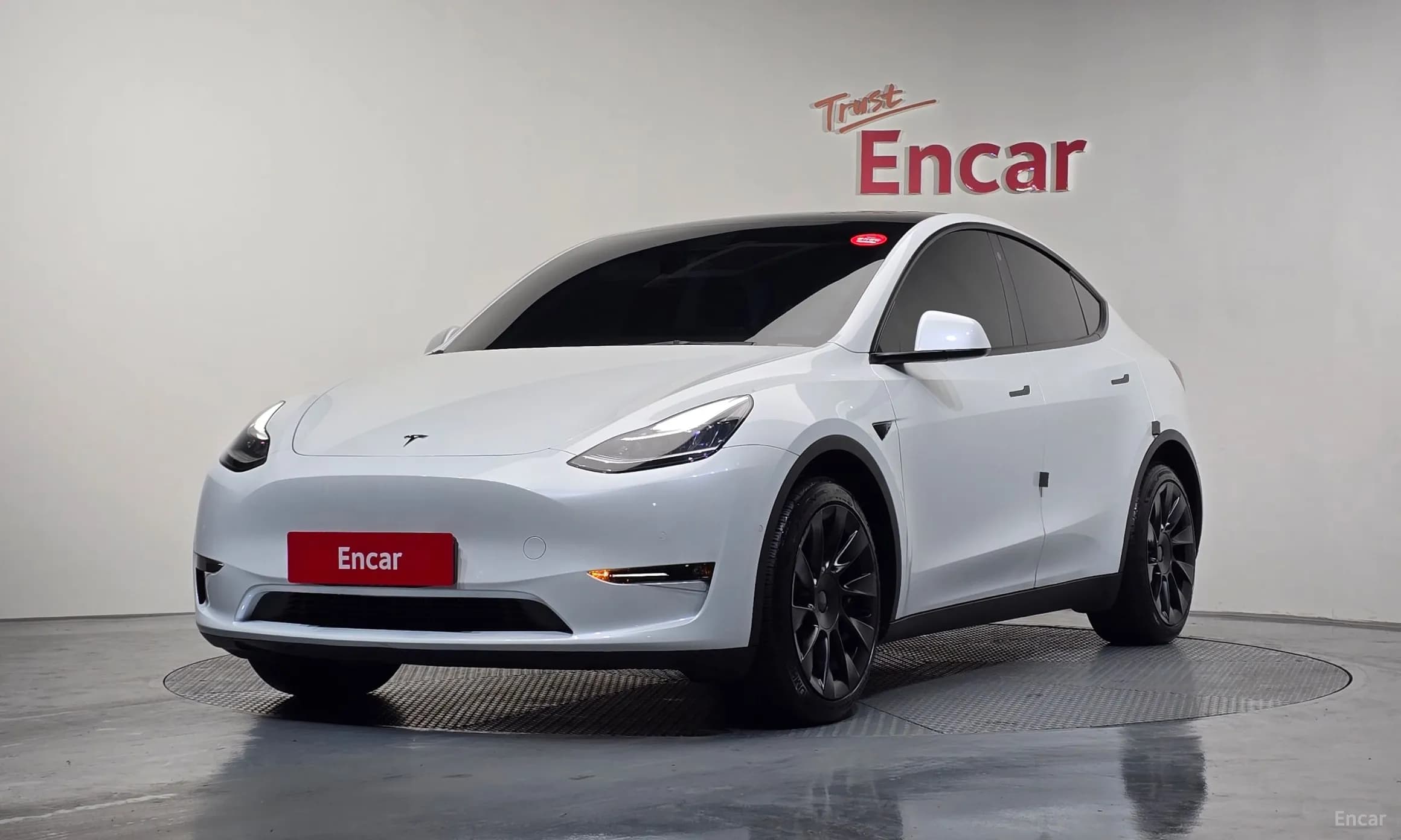 Model Y