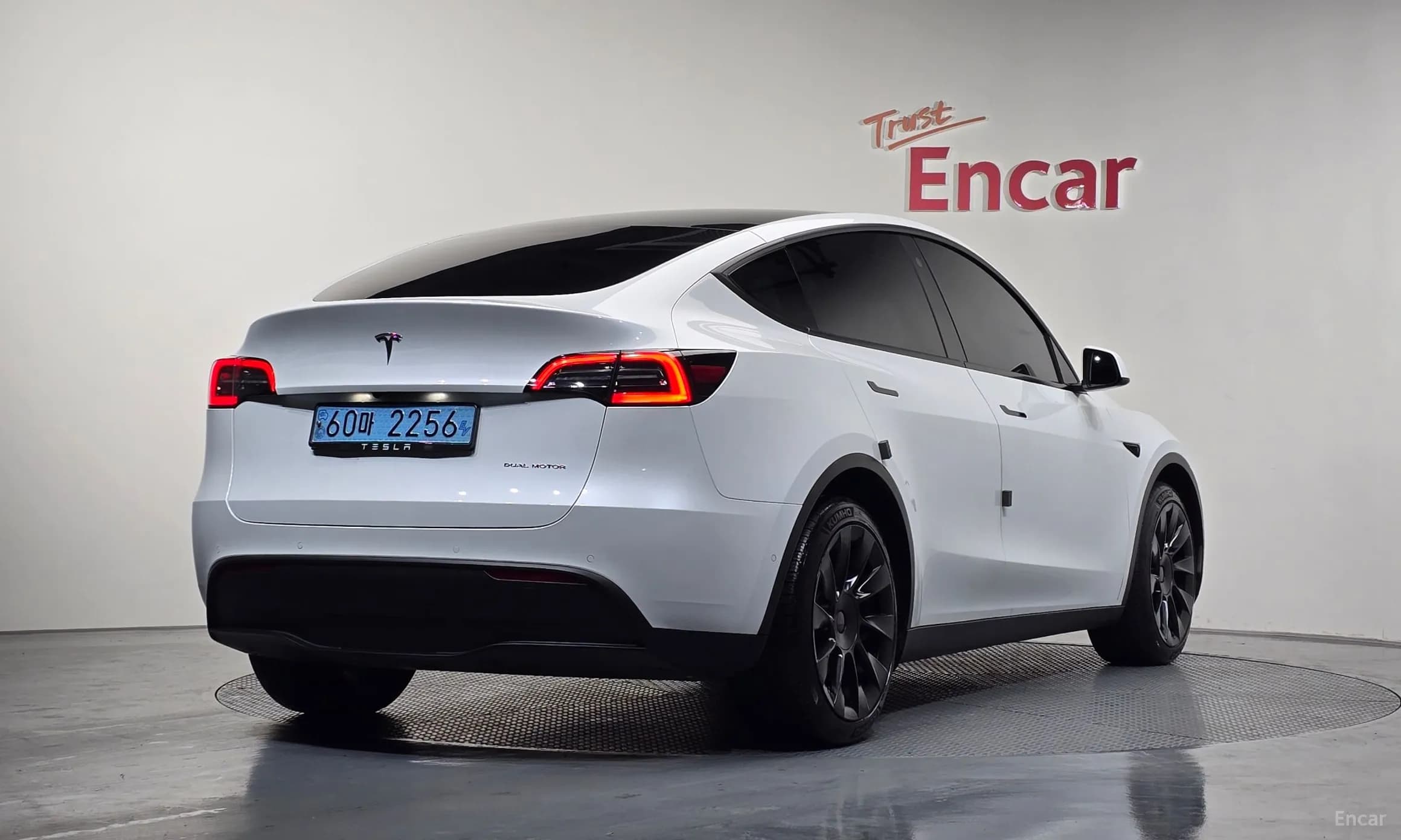 Model Y