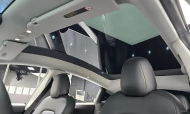 Model Y