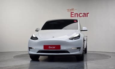 Model Y