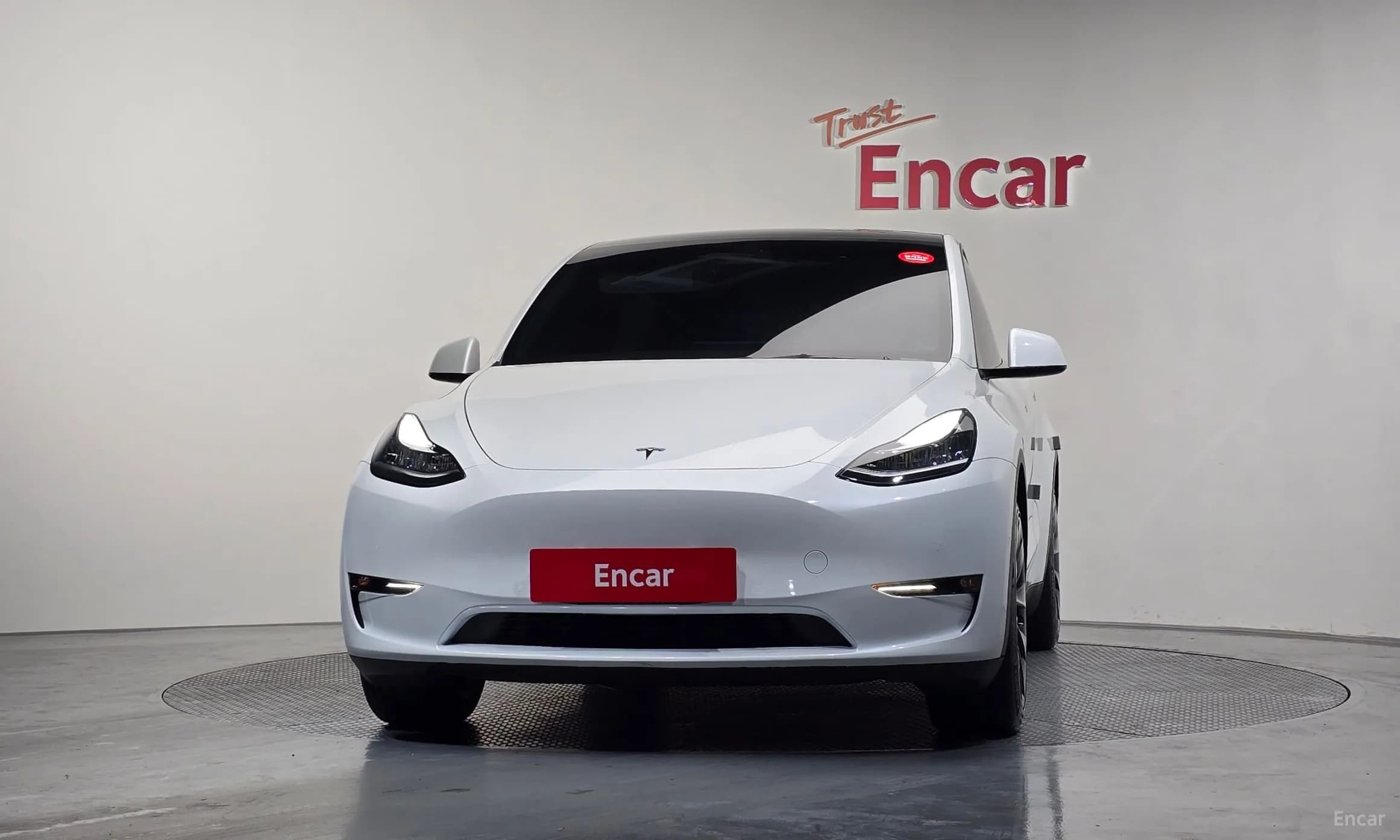 Model Y