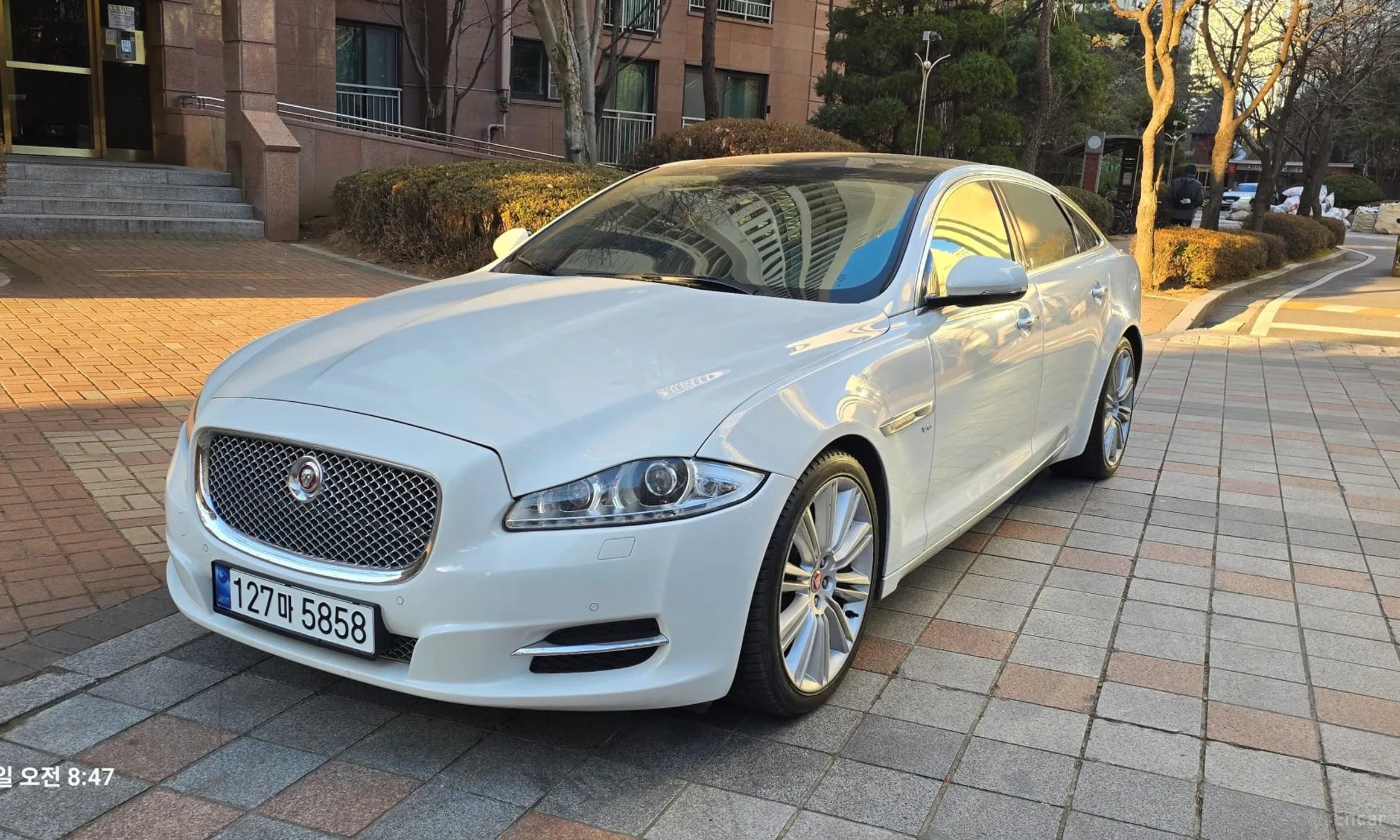 All New XJ