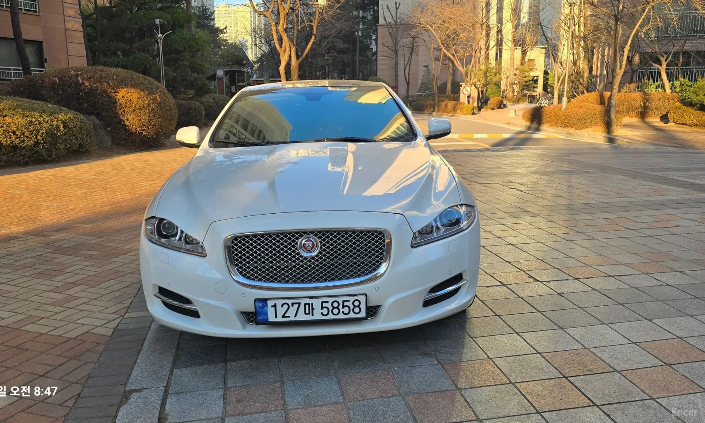 All New XJ