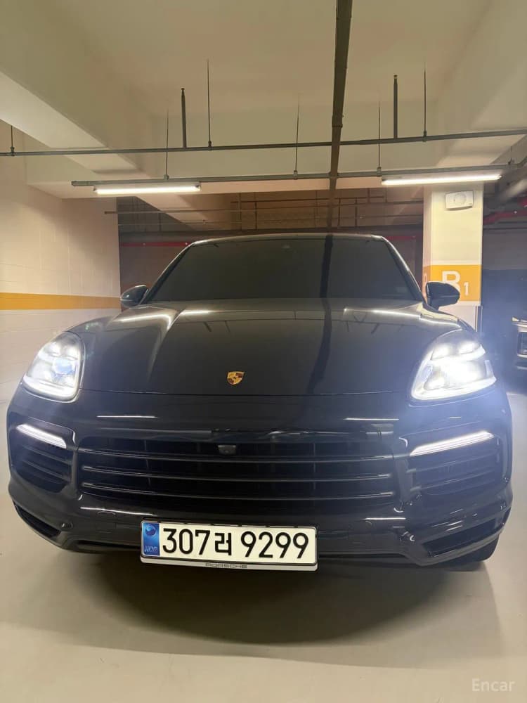 Cayenne (PO536)