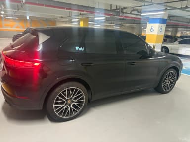 Cayenne (PO536)