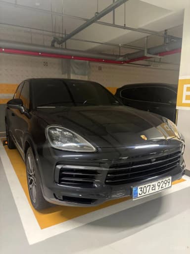 Cayenne (PO536)