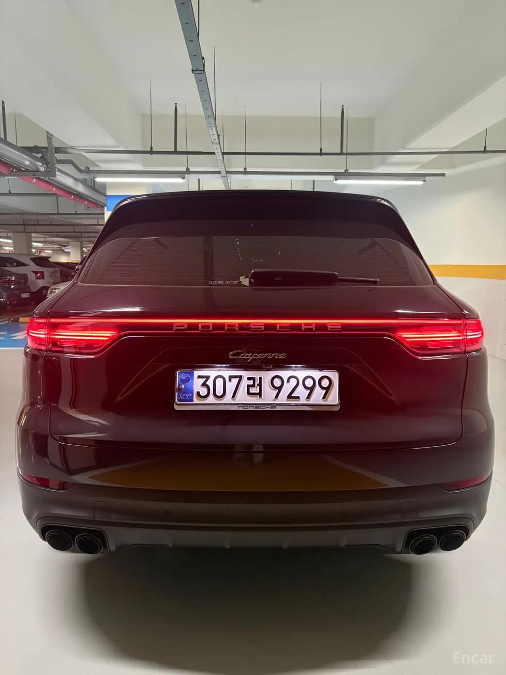 Cayenne (PO536)