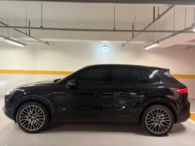 Cayenne (PO536)