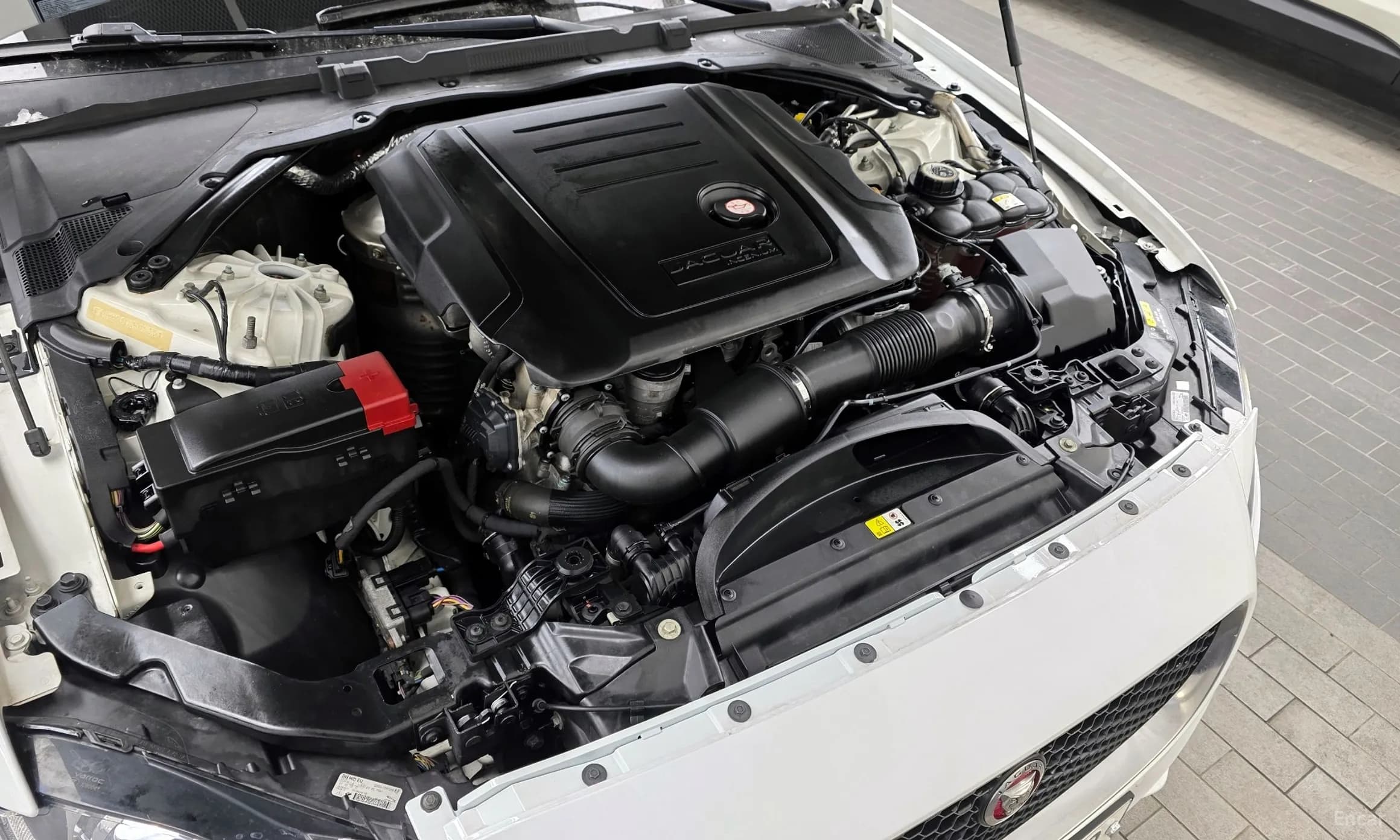 XF (x260)