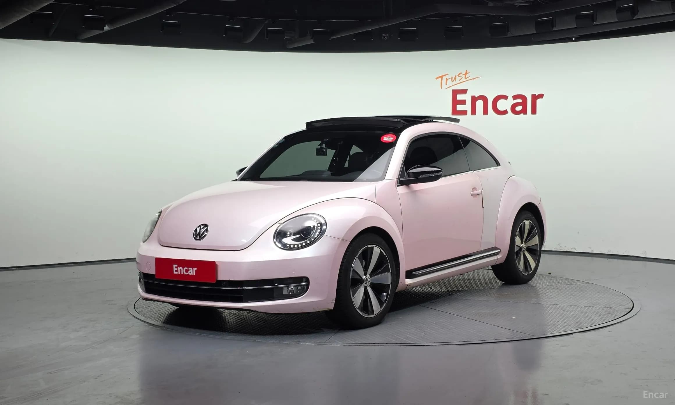 The Beetle