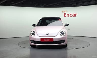 The Beetle