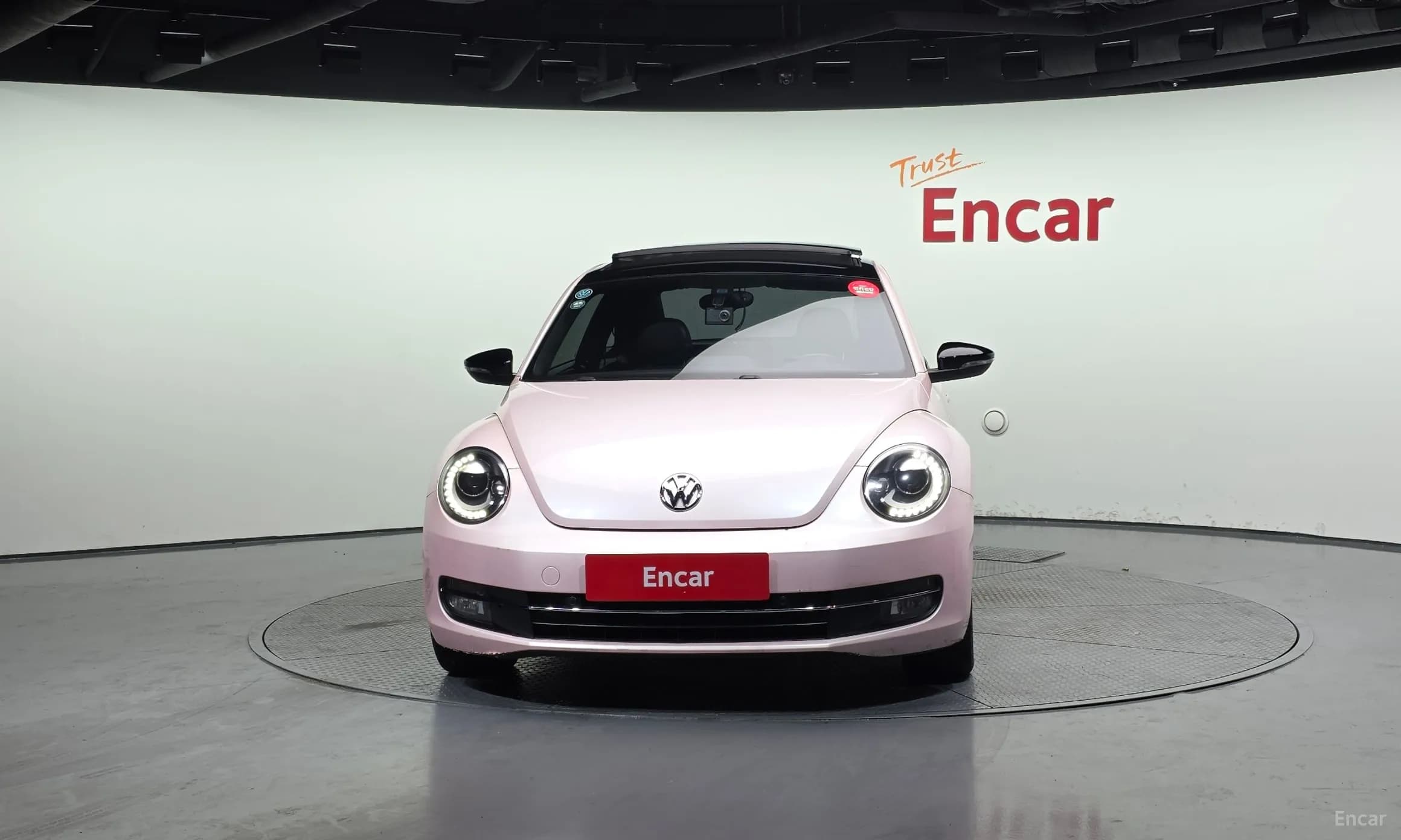 The Beetle