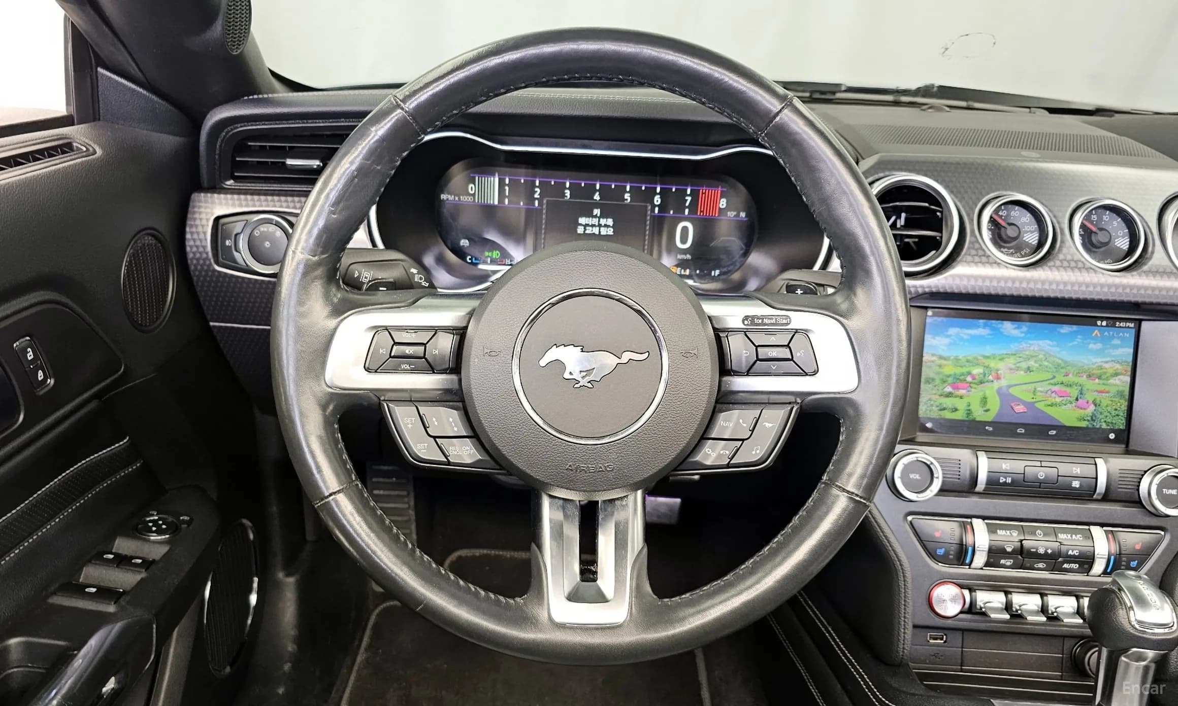 Mustang