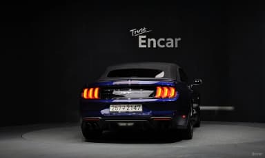 Mustang