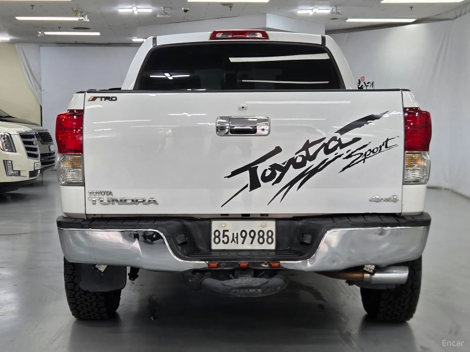 tundra