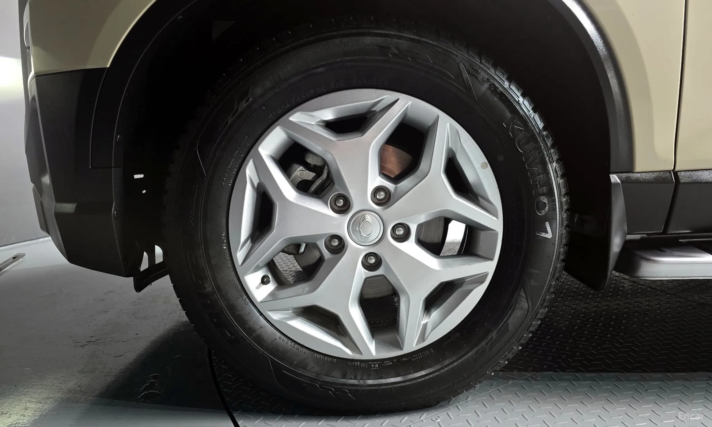 Rexton Sports