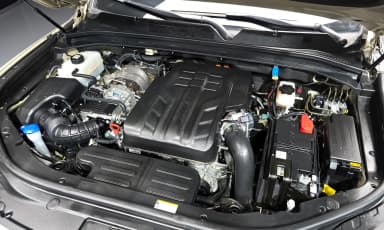 Rexton Sports