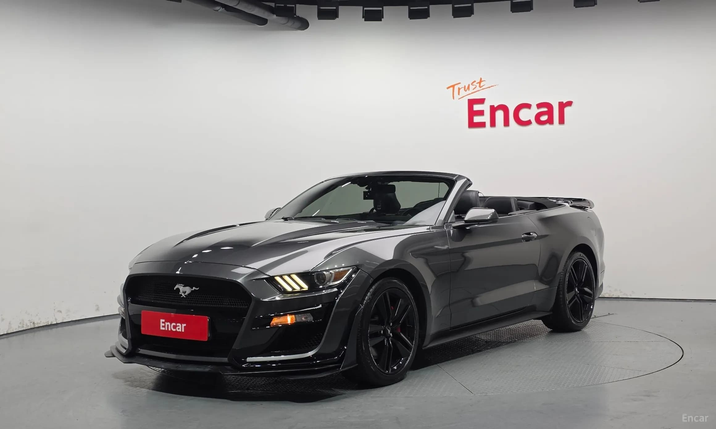 Mustang