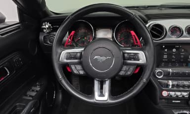 Mustang