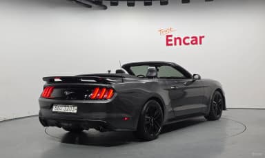 Mustang