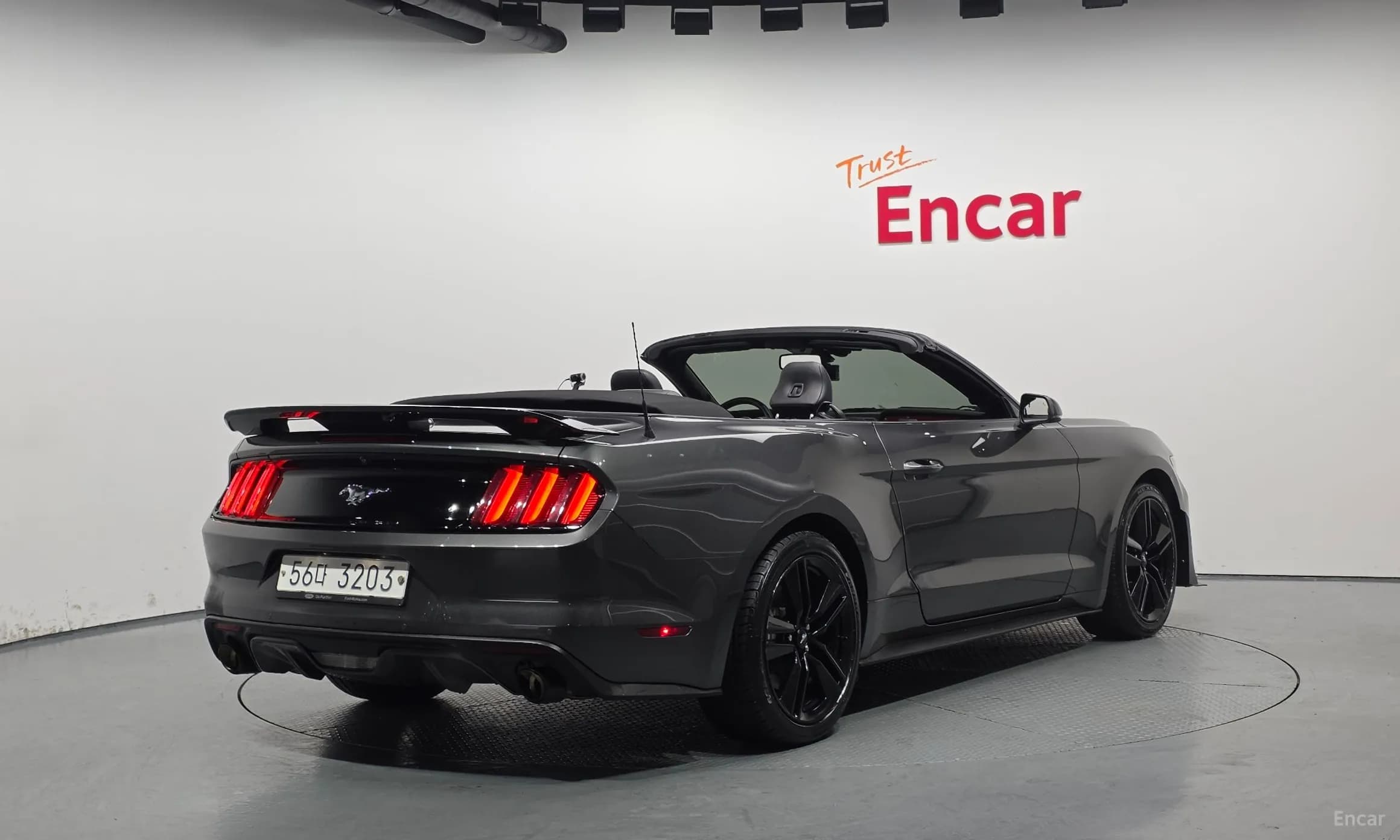 Mustang