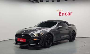 Mustang