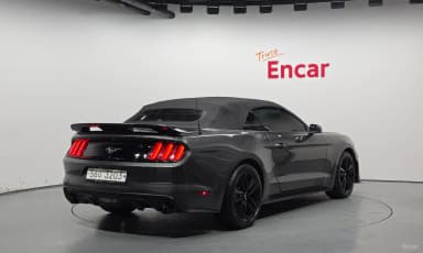 Mustang